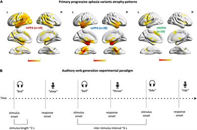 Auditory Verb Generation Performance Patterns Dissociate Variants of Primary Progressive Aphasia